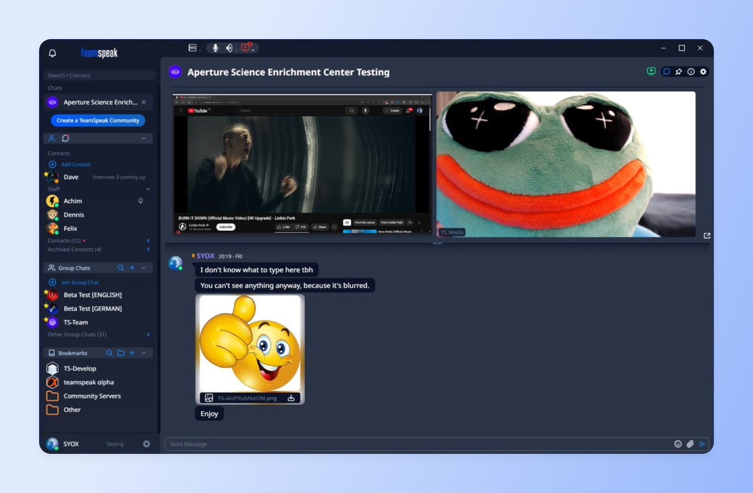 TeamSpeak chat showing shared YouTube video and smiling Pepe frog meme with orange smile and X-shaped eyes