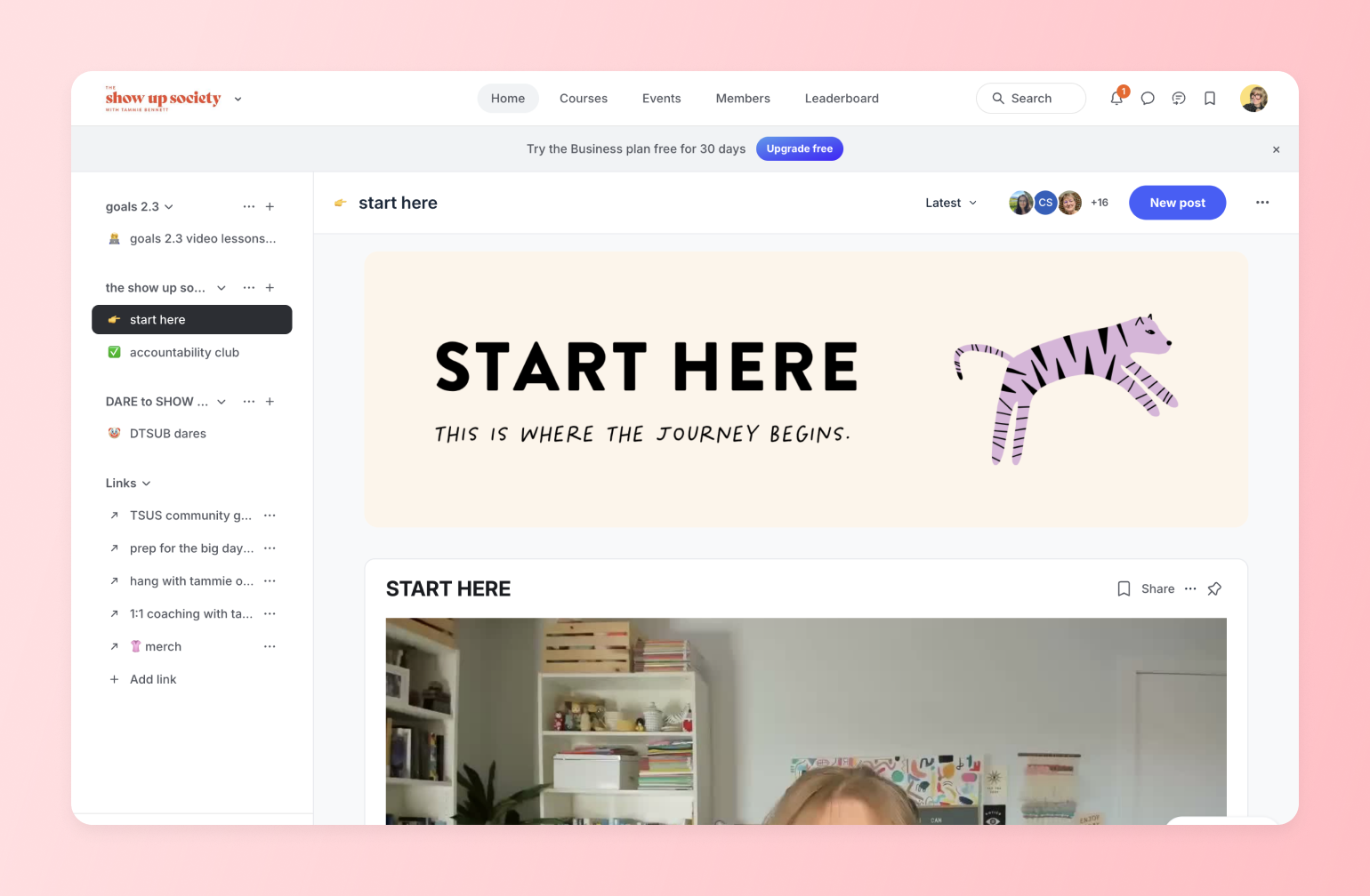 Show Up Society community platform dashboard with START HERE banner featuring purple striped zebra illustration and journey begins tagline
